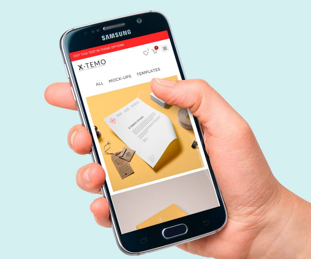 A fusce fringilla scelerisque